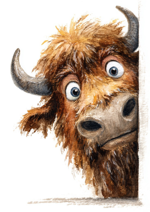 Poster - Peek a boo bison