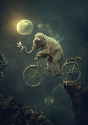 Nattcykling med Elefant