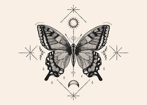 Poster - Fjärril art