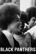Poster - Black Panthers