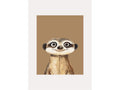 Poster - Glad lemur