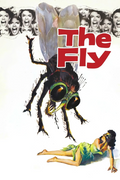 Poster - The Fly