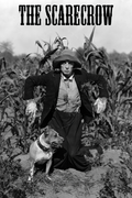 Poster - The Scarecrow