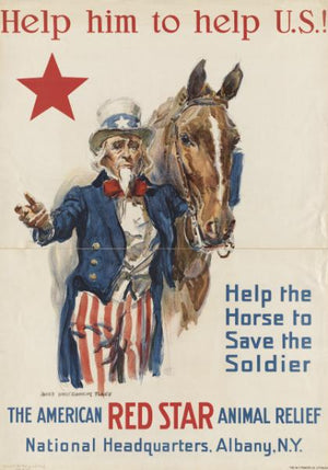 Poster - American red star
